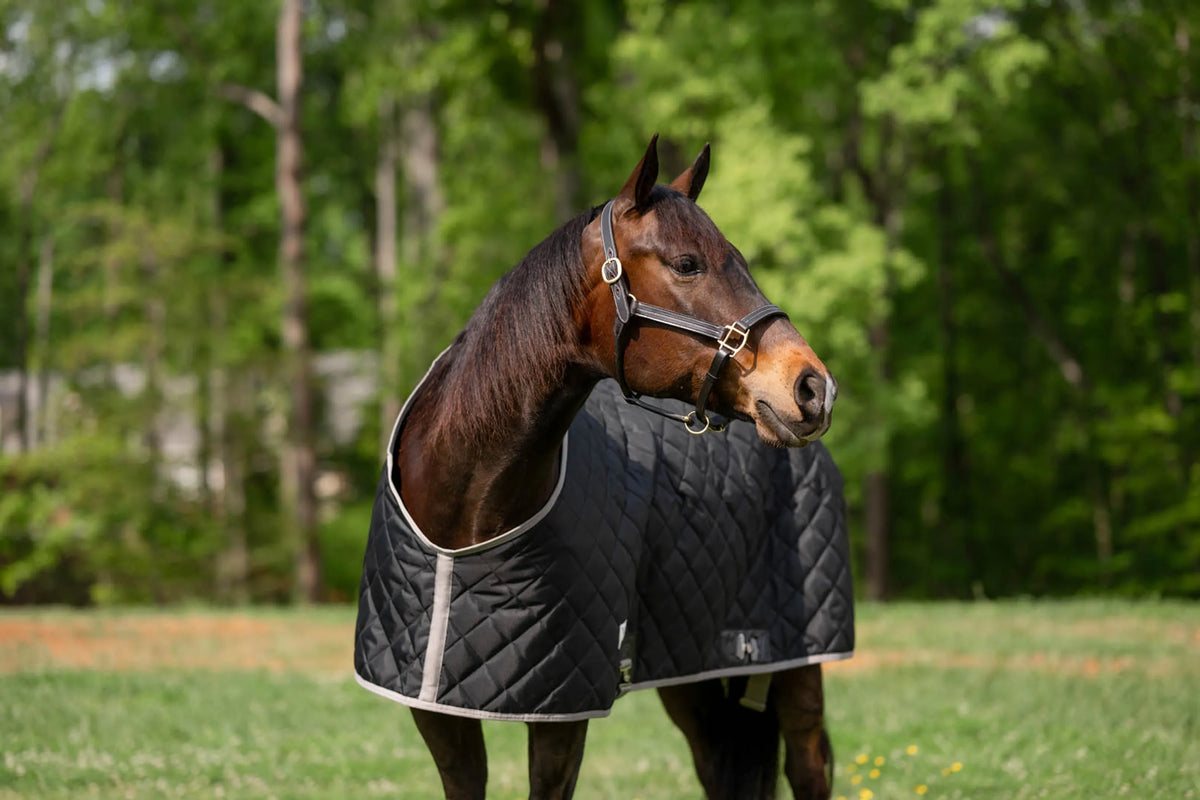 TuffRider Shelter Closed Front - Med-Weight Stable Blanket