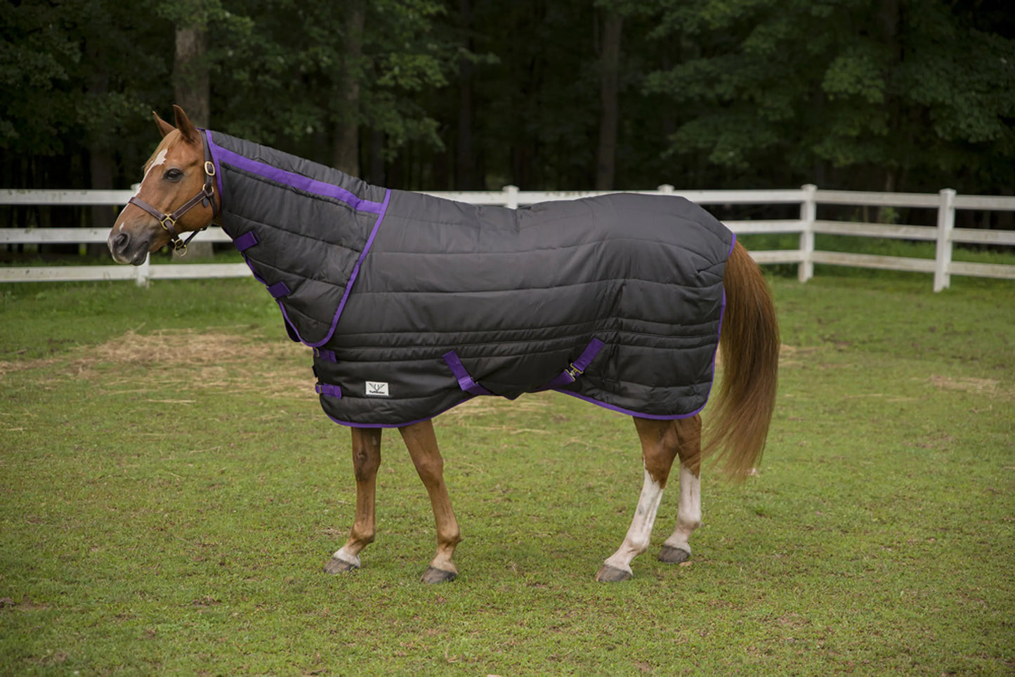 TuffRider 220g Kozy Komfort Neck Combo - Stable Blanket