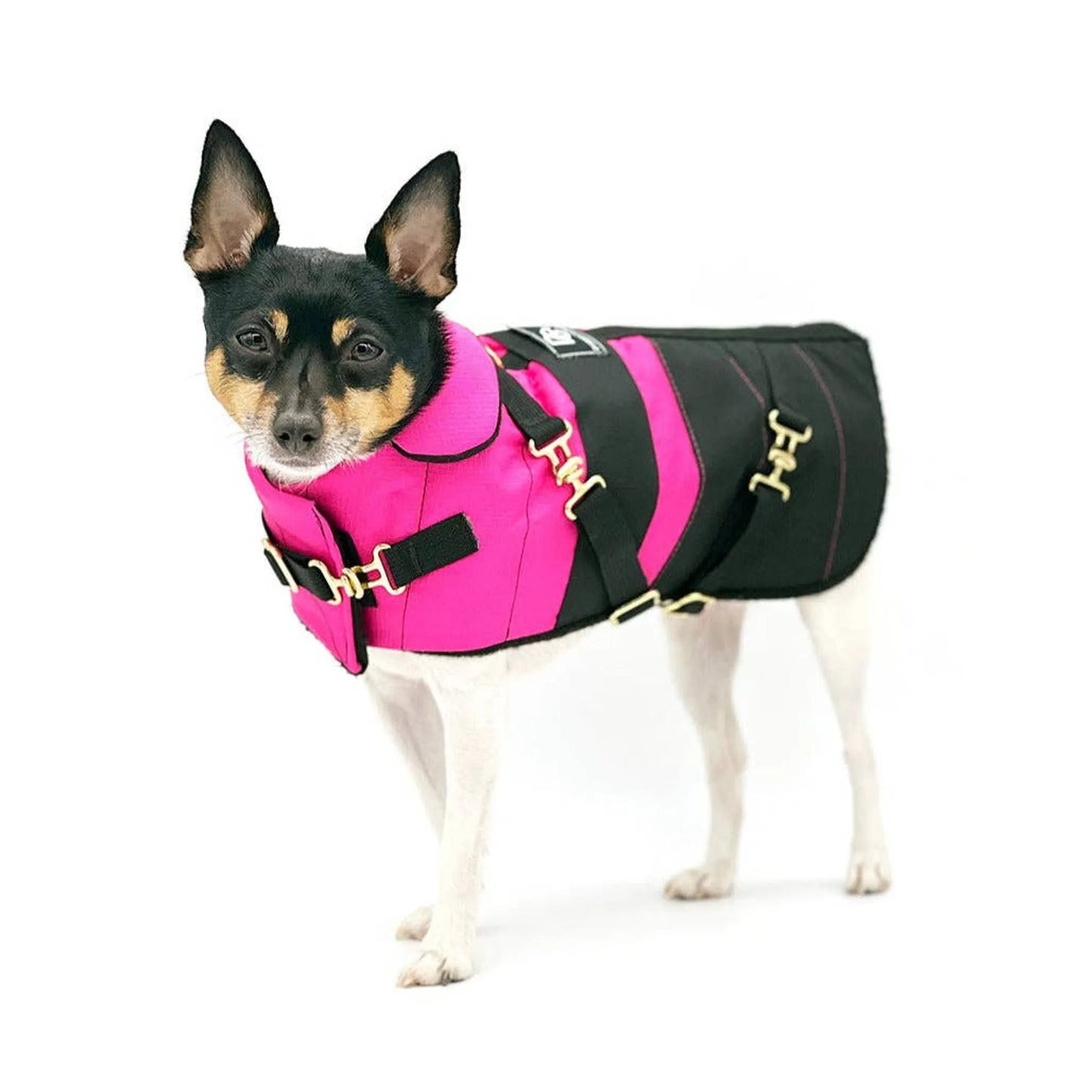 "Fun with Fuschia" - DCNY Equestrian Collection Dog Coat