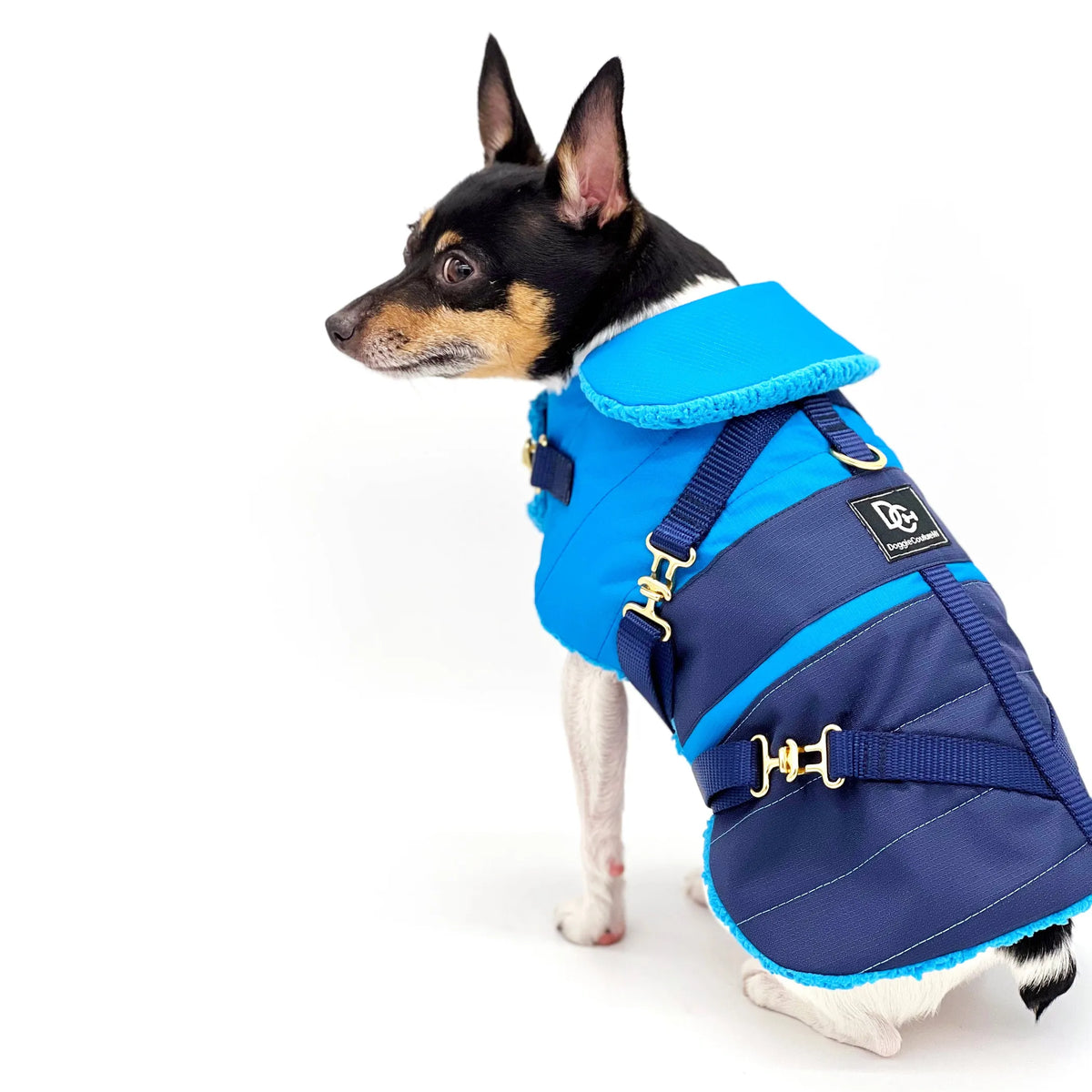 "Clear Blue Sky" - DCNY Equestrian Collection Dog Coat