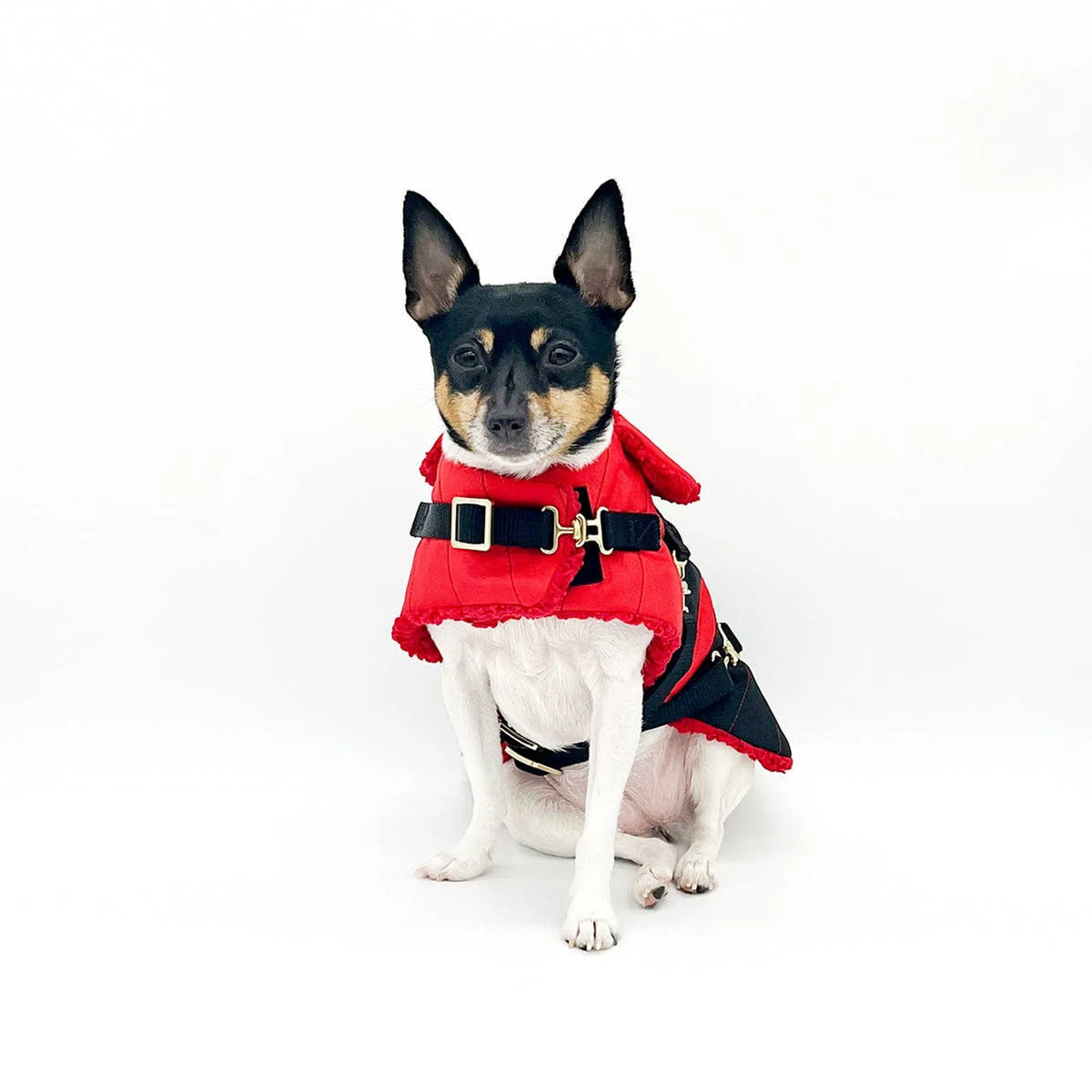 "Ruby Red" - DCNY Equestrian Collection Dog Coat