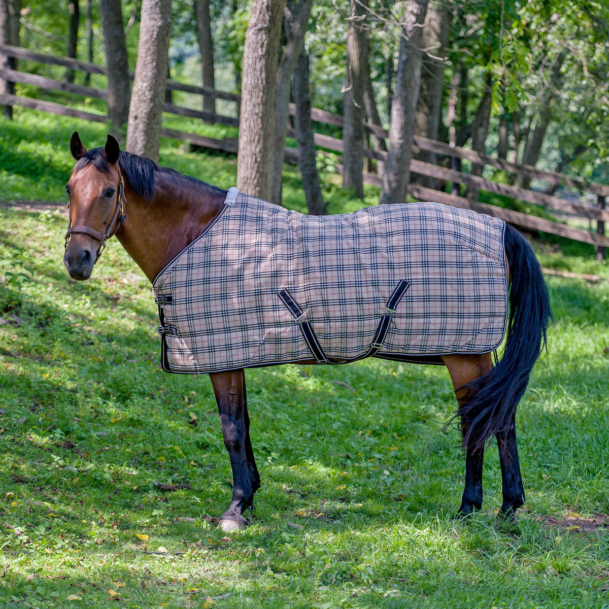 TuffRider Comfy Standard Neck Medium Weight Stable Blanket- 1200D, 200 GSM- Beige and Black