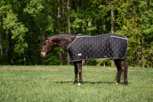 TuffRider Shelter Closed Front - Heavy-Weight Stable Blanket