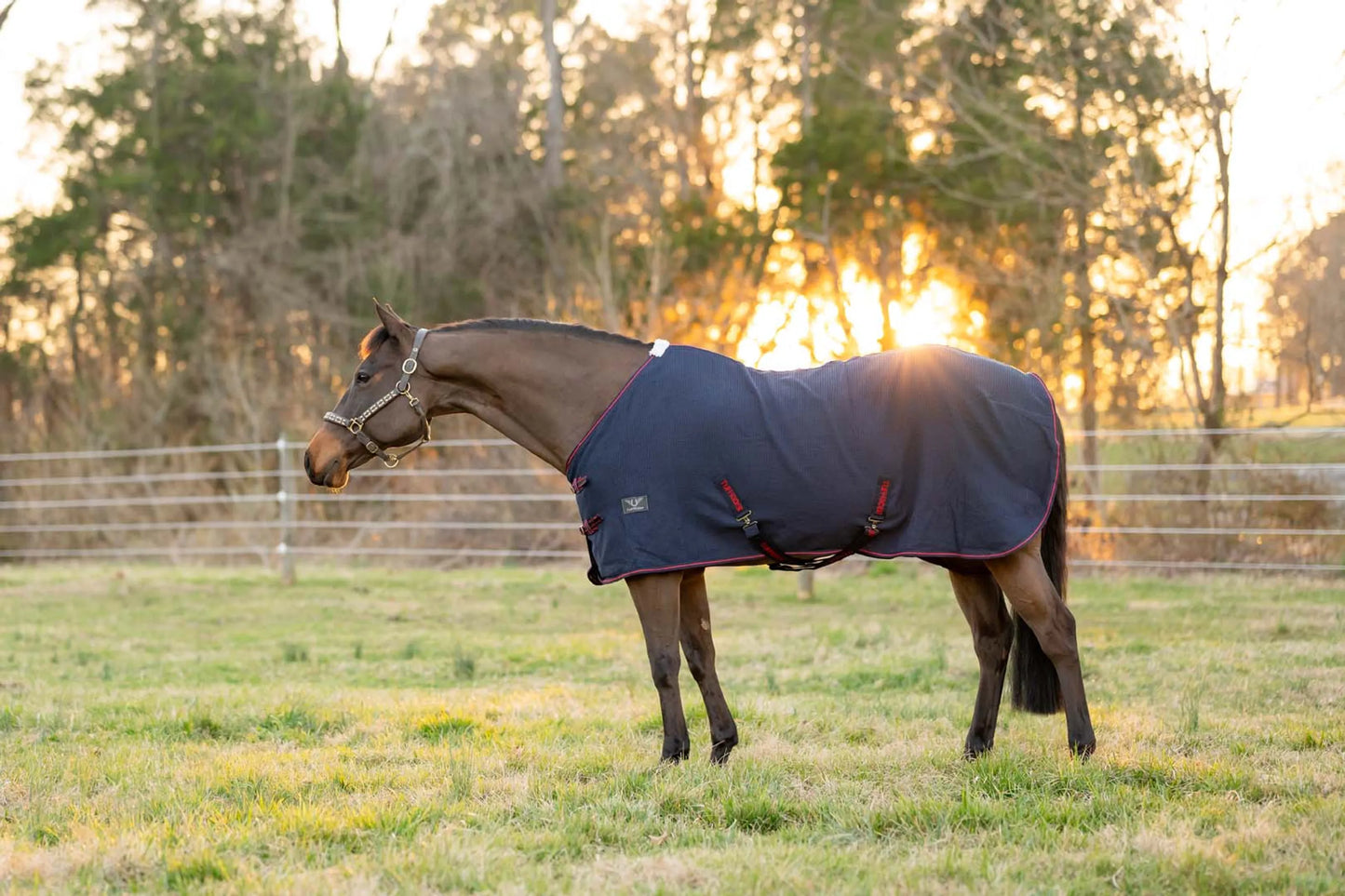 TuffRider Waffle Weave Cooler Standard Neck Cooler