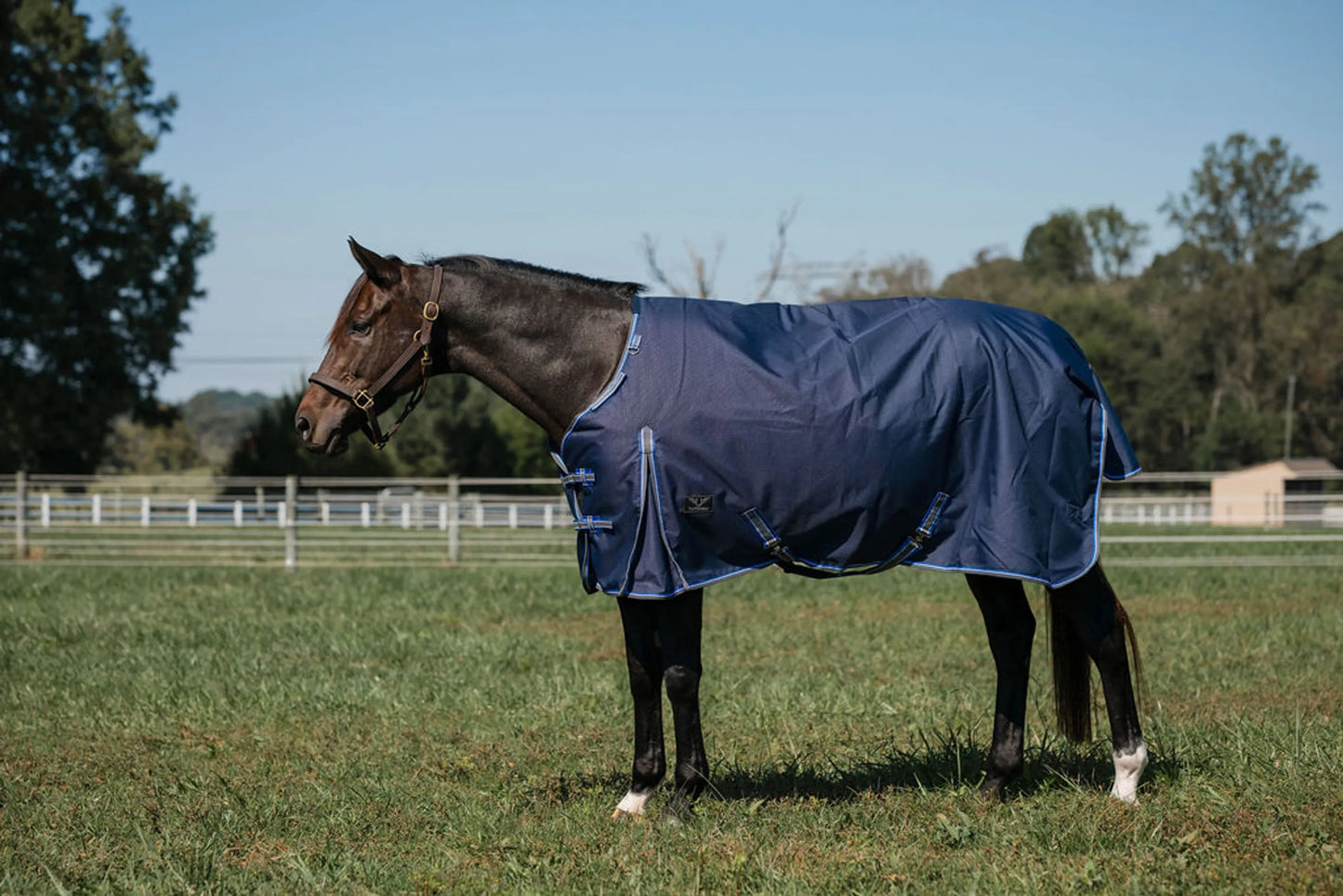 TuffRider Comfy Fit 1200D RipStop 200g Waterproof/Breathable - Comfy Winter Turnout - Med-Weight Blanket Standard w/Adjustable Neck - Navy  w/Blue/Grey Trim