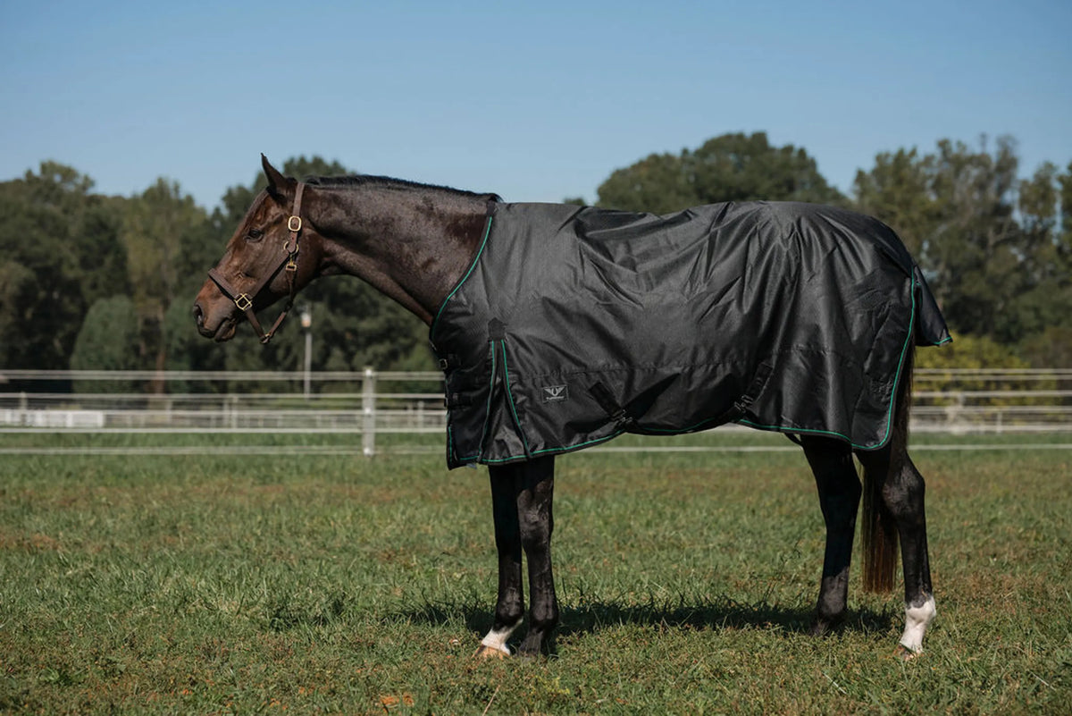 TuffRider 600D RipStop 200g Waterproof/Breathable - Comfy Winter Turnout Blanket Standard Neck - Med-Weight - Black w Green/Black Trim