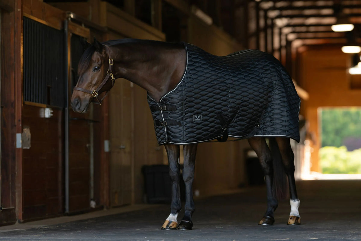 TuffRider 420D 200g Kozy Komfort Stable Blanket w/Diamond Quilting