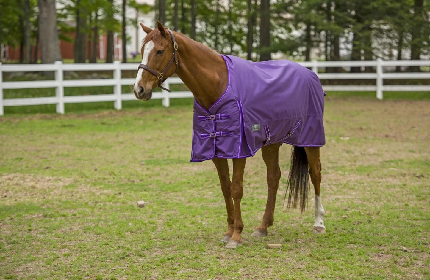 TuffRider 1680D 200g - Standard Neck Med-Weight Blanket