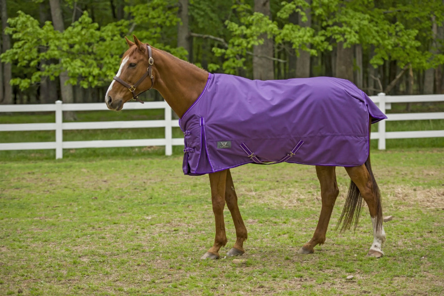 TuffRider 1680D 200g - Standard Neck Med-Weight Blanket