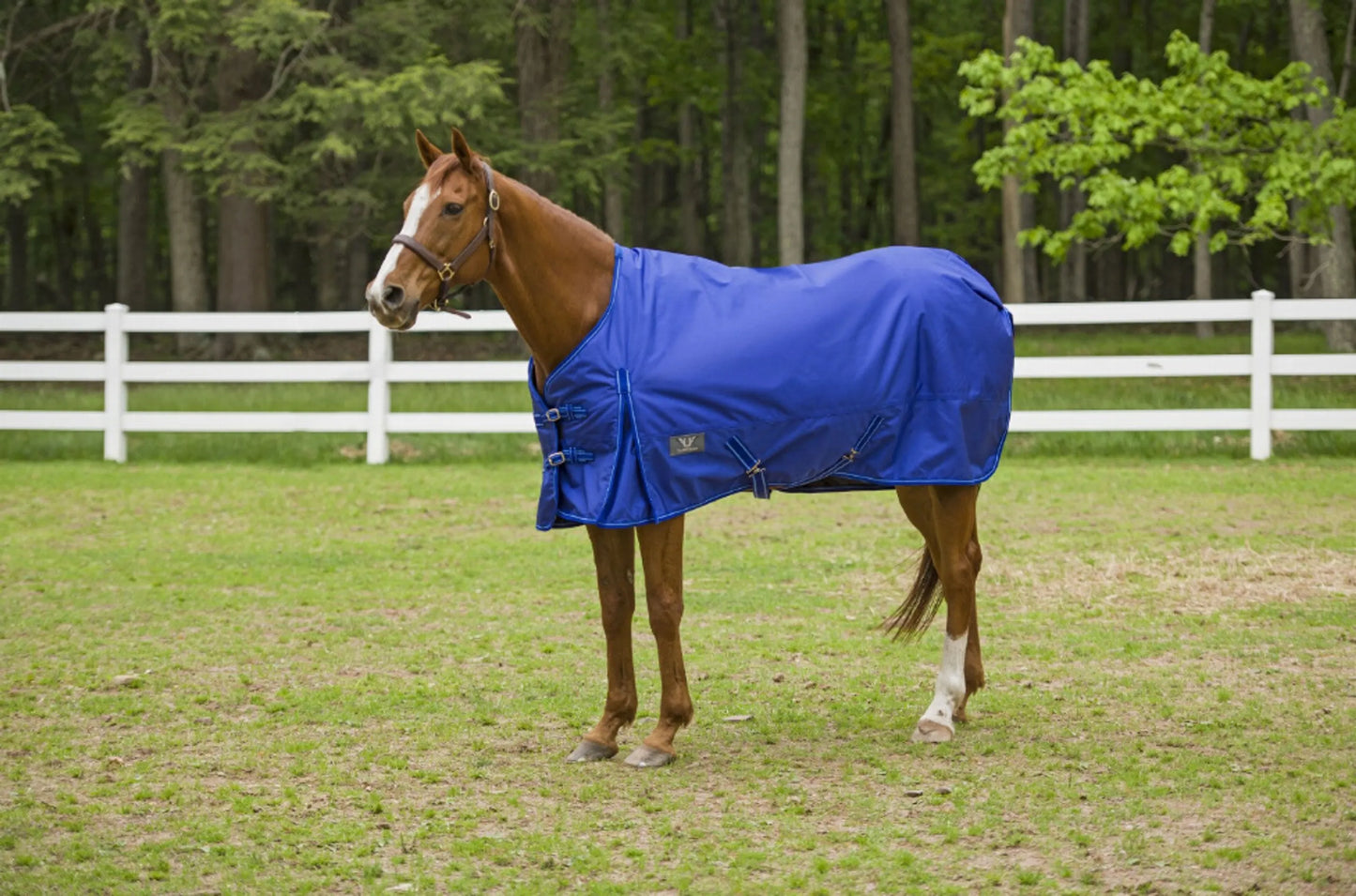 TuffRider 1680D 200g - Standard Neck Med-Weight Blanket