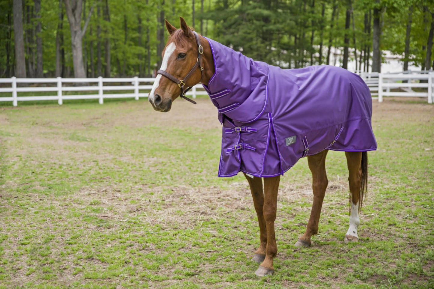 TuffRider 1680D 350g - Detachable Neck - Heavy-Weight Blanket