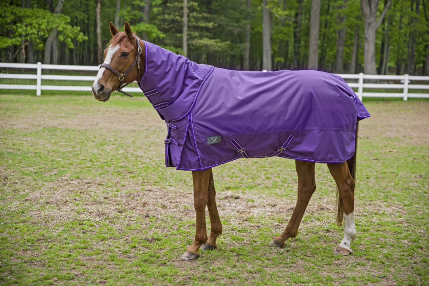 TuffRider 1680D 350g - Detachable Neck - Heavy-Weight Blanket