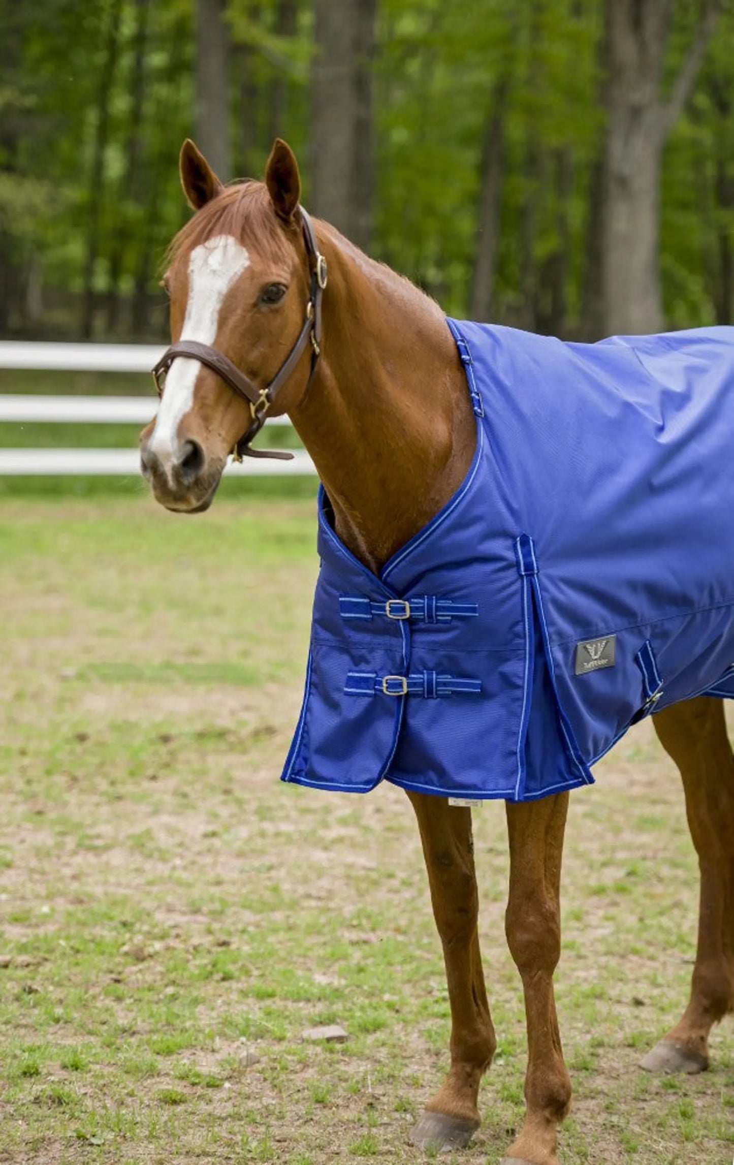 TuffRider 1680D 350g - Detachable Neck - Heavy-Weight Blanket