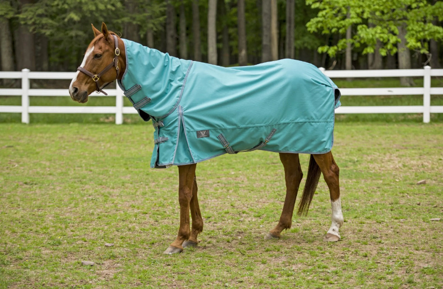 TuffRider 1200D 200g Comfy Detachable Neck - Mid-Weight Winter Blanket