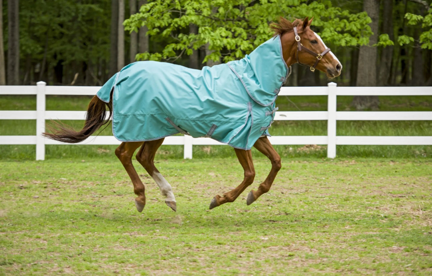 TuffRider 1200D 200g Comfy Detachable Neck - Mid-Weight Winter Blanket