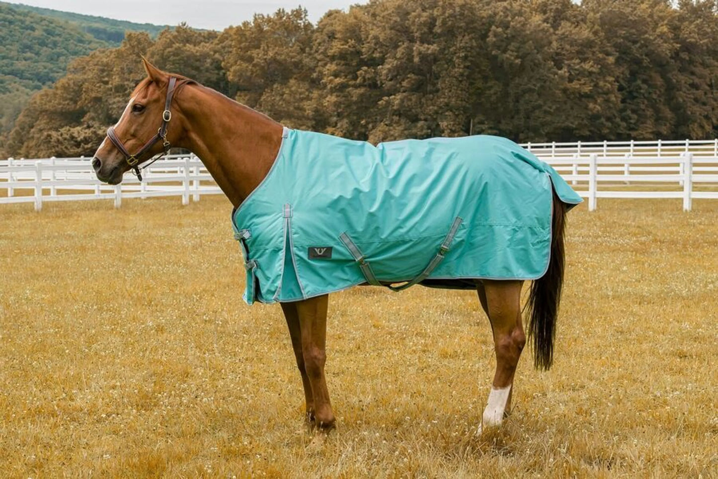 TuffRider 1200D 200g Waterproof - Comfy Mid-Weight Winter Blanket