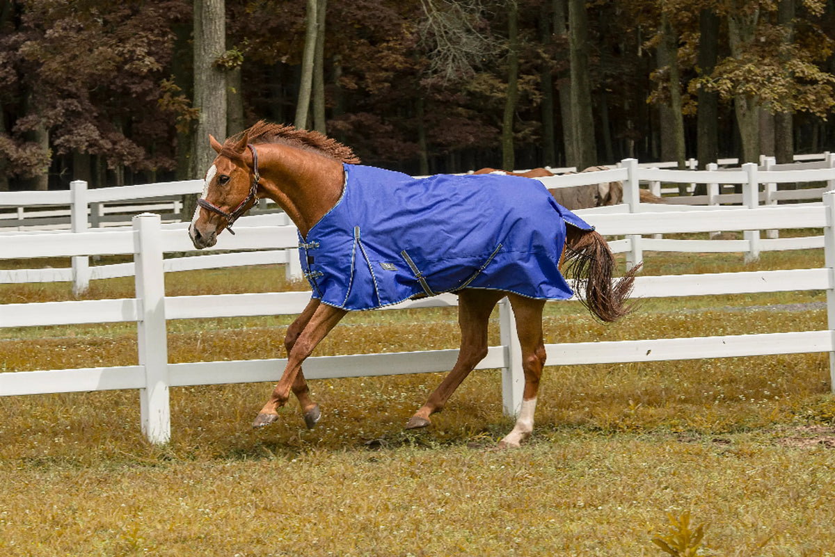 TuffRider 1200D 200g Waterproof - Comfy Mid-Weight Winter Blanket