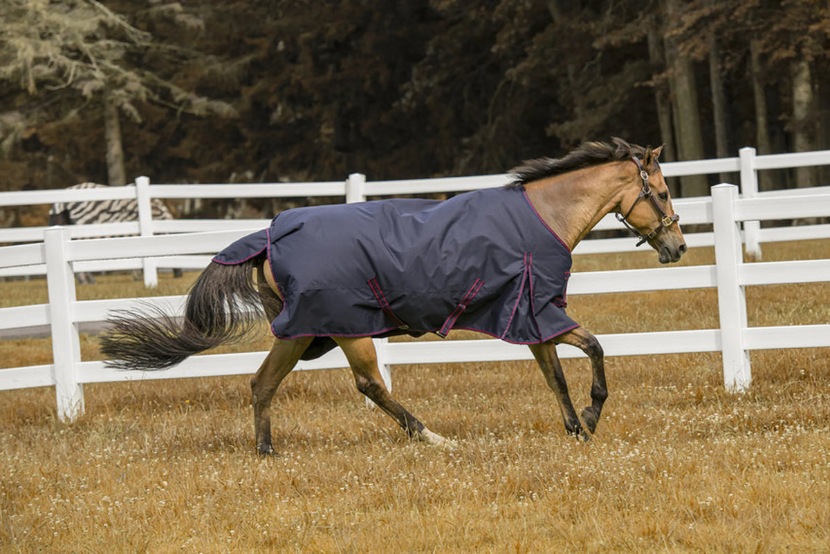 TuffRider 1200D 200g Waterproof - Comfy Mid-Weight Winter Blanket