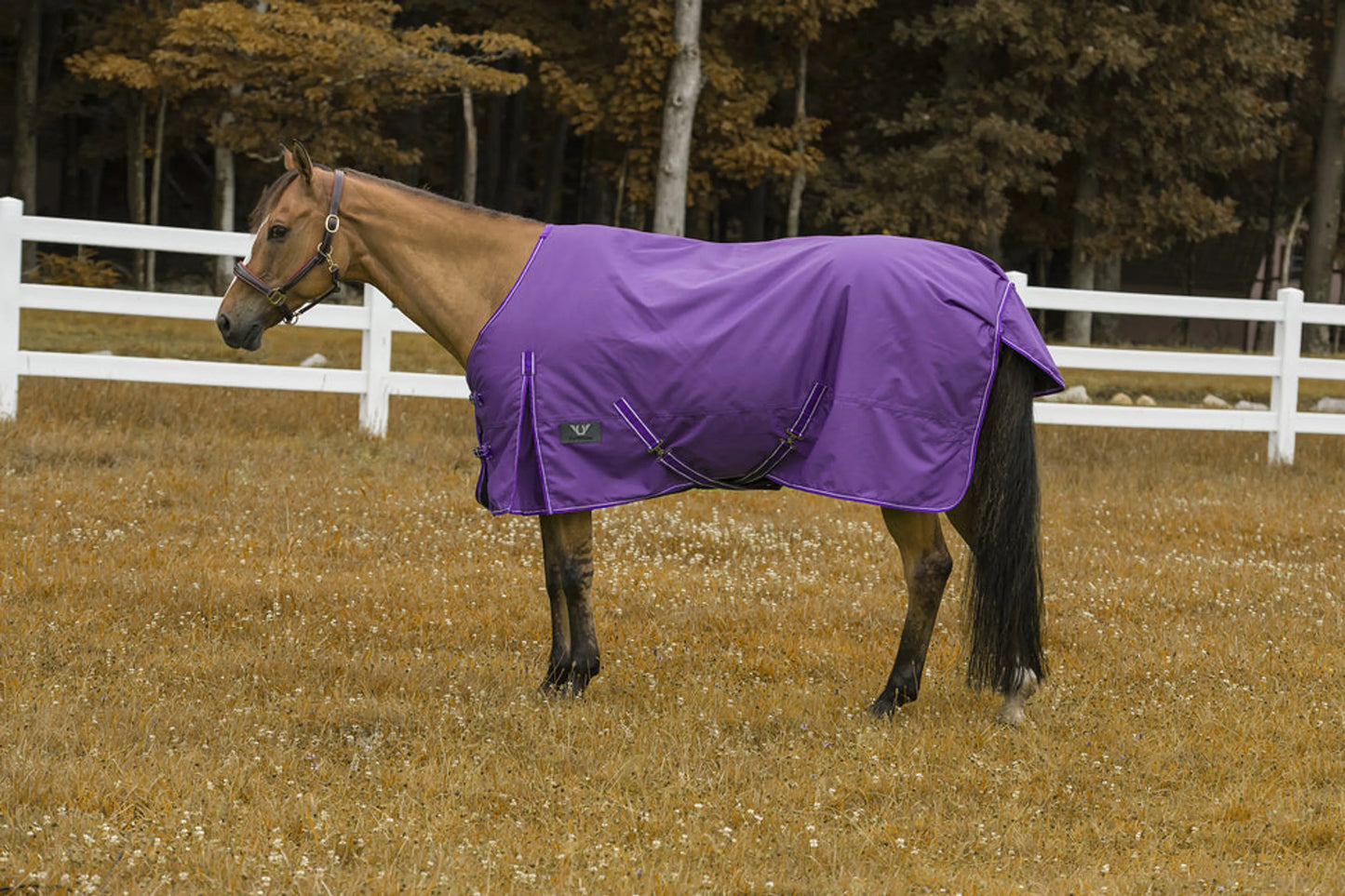 TuffRider 1200D 200g Waterproof - Comfy Mid-Weight Winter Blanket