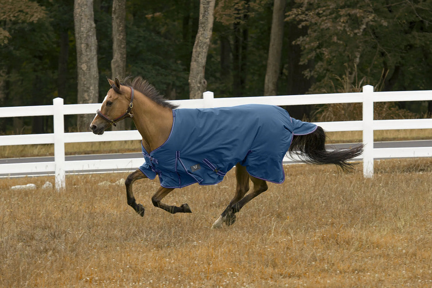TuffRider 1200D 200g Waterproof - Comfy Mid-Weight Winter Blanket