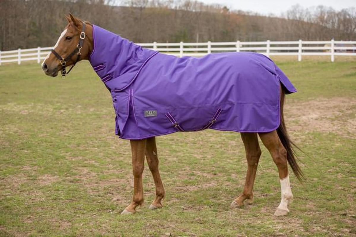 TuffRider 1200D 200g Comfy Winter Turnout Blanket w/ Detachable Neck - Medium-Weight Turquoise