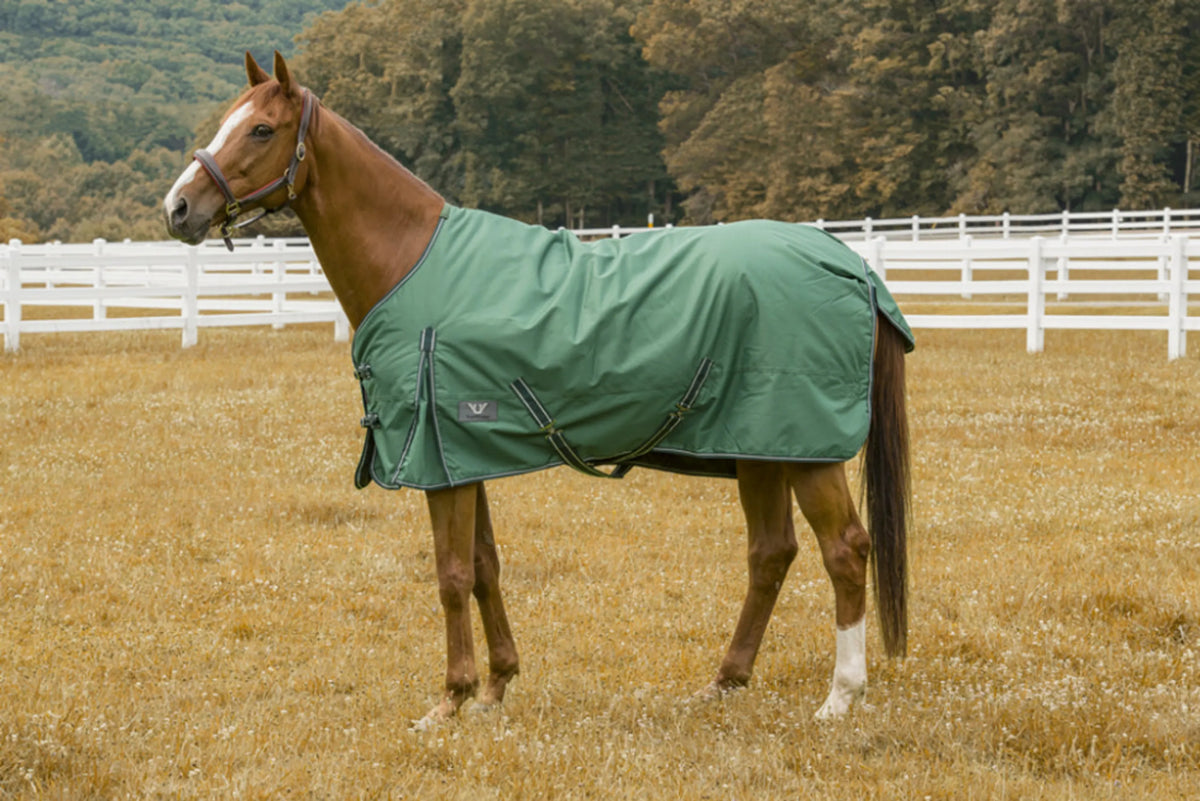 TuffRider 600D 200g - Waterproof Mid-Weight Blanket