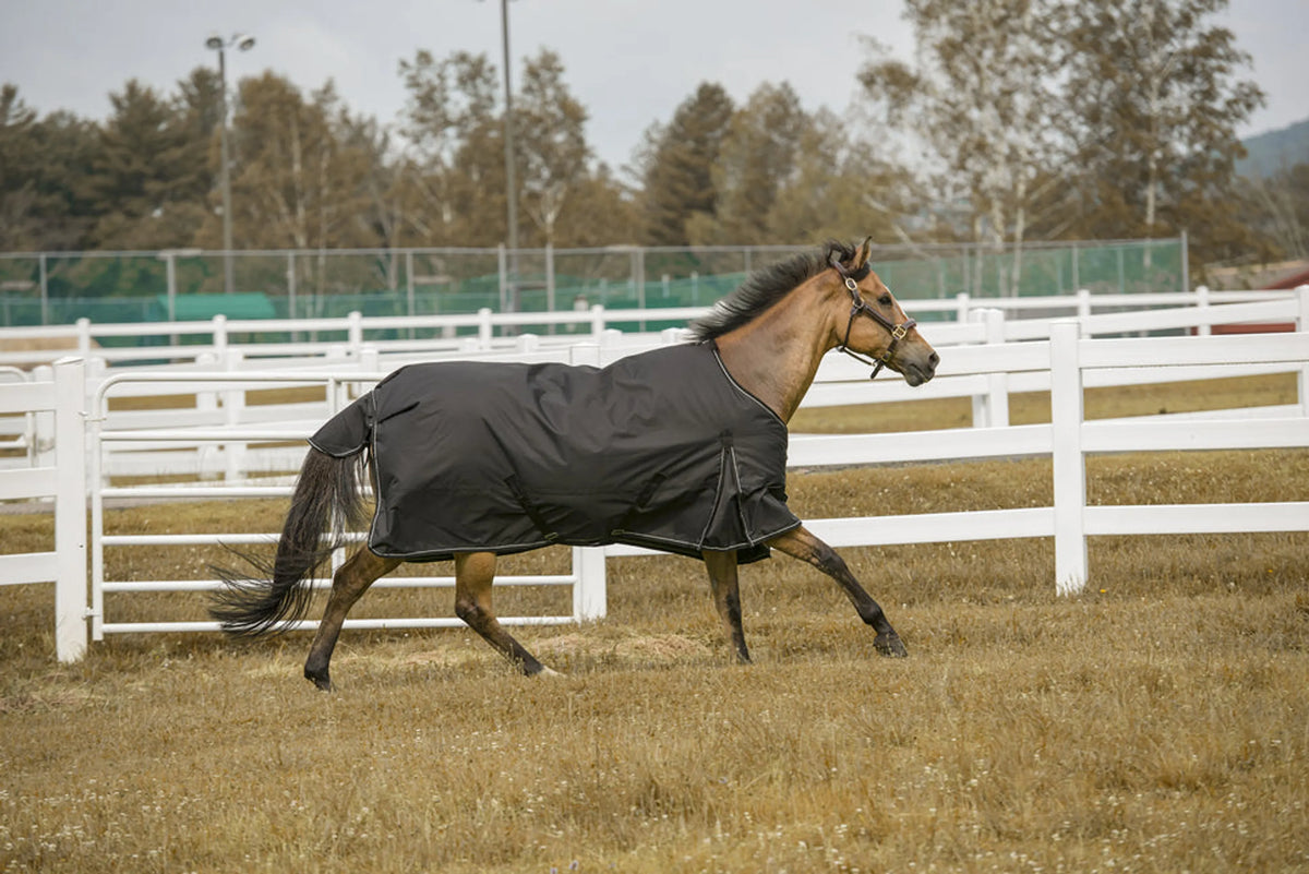 TuffRider 600D 200g - Waterproof Mid-Weight Blanket