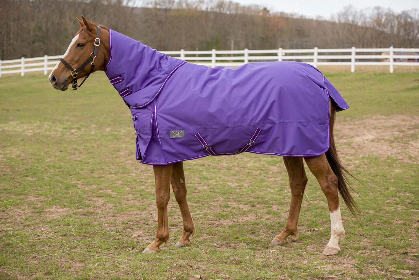 TuffRider 600D 200g Comfy Winter Turnout Blanket w/ Combo Neck - Med-Weight