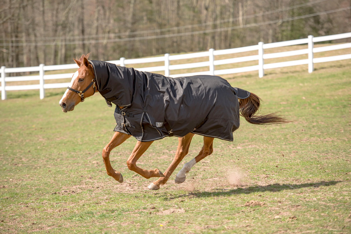 TuffRider 600D 200g Comfy Winter Turnout Blanket w/ Combo Neck - Med-Weight