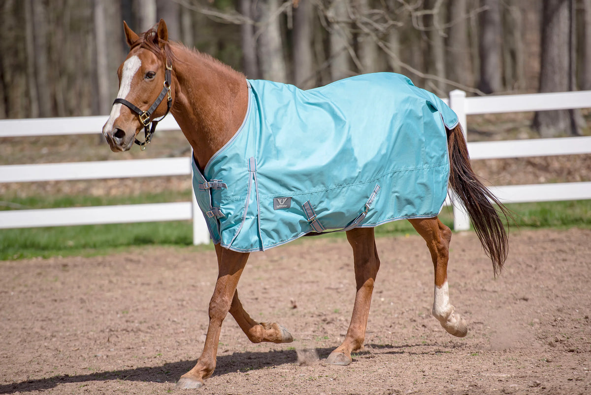 TuffRider 600D Comfy Winter Standard Neck Turnout Sheet