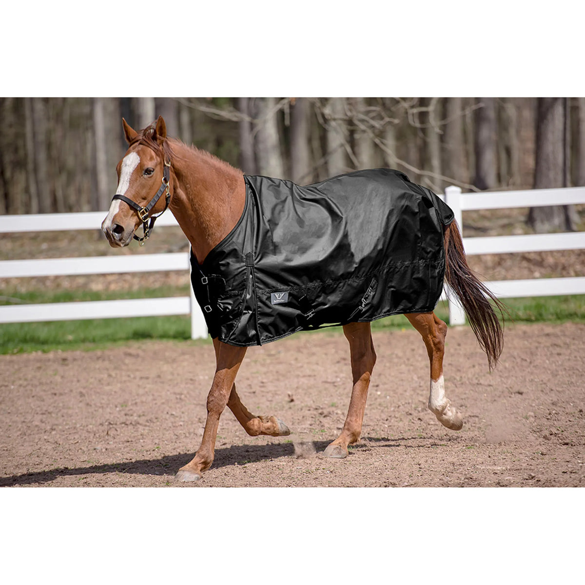 TuffRider 600D Comfy Winter Standard Neck Turnout Sheet