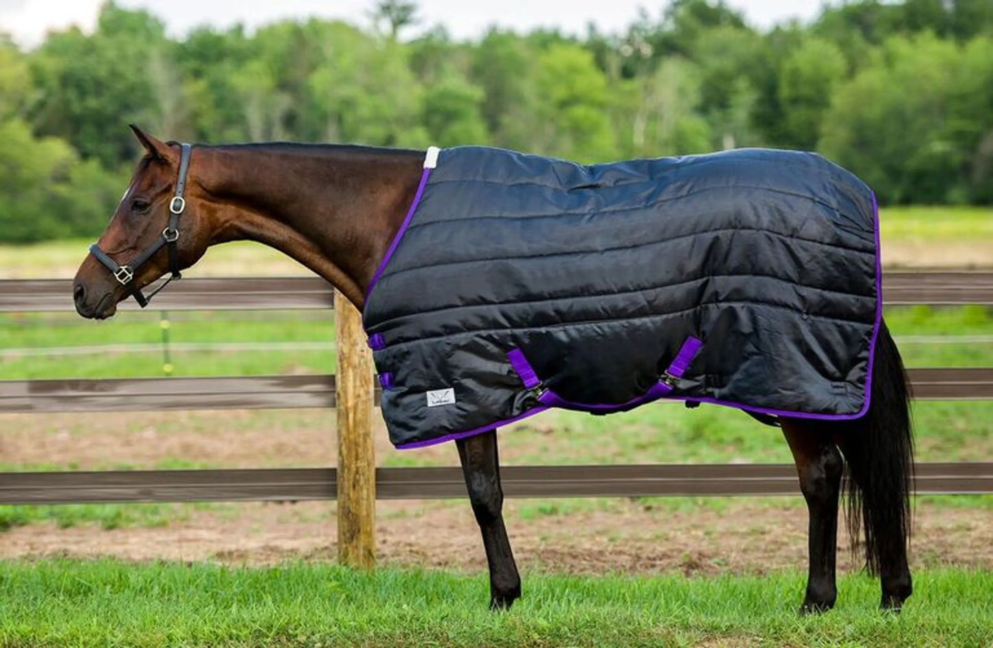 TuffRider 220g Kozy Komfort - Stable Blanket