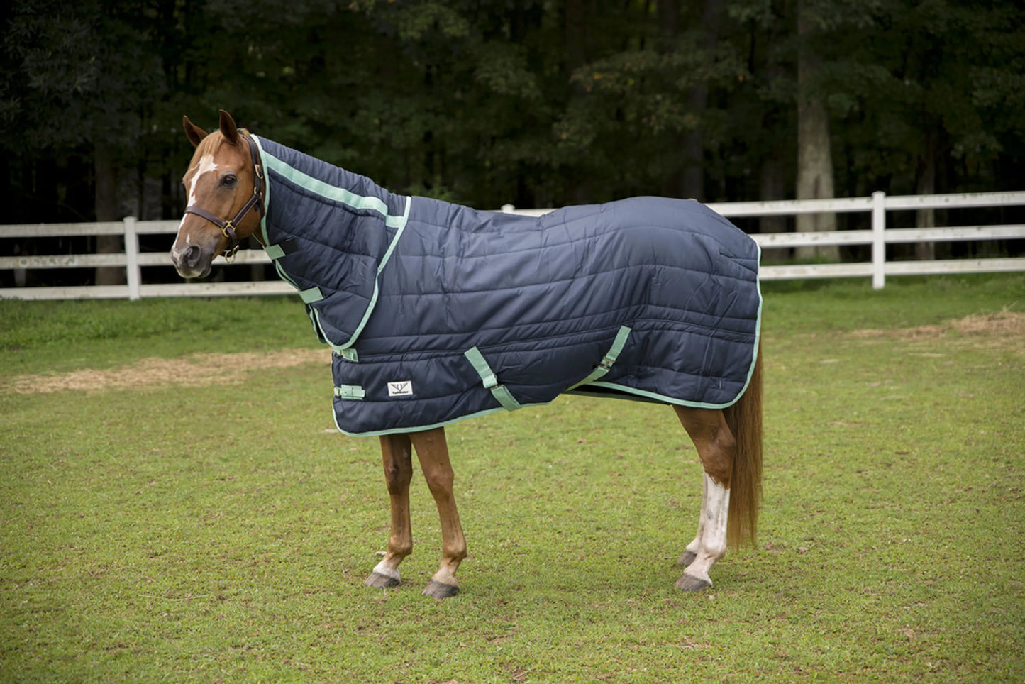 TuffRider 220g Kozy Komfort Neck Combo - Stable Blanket