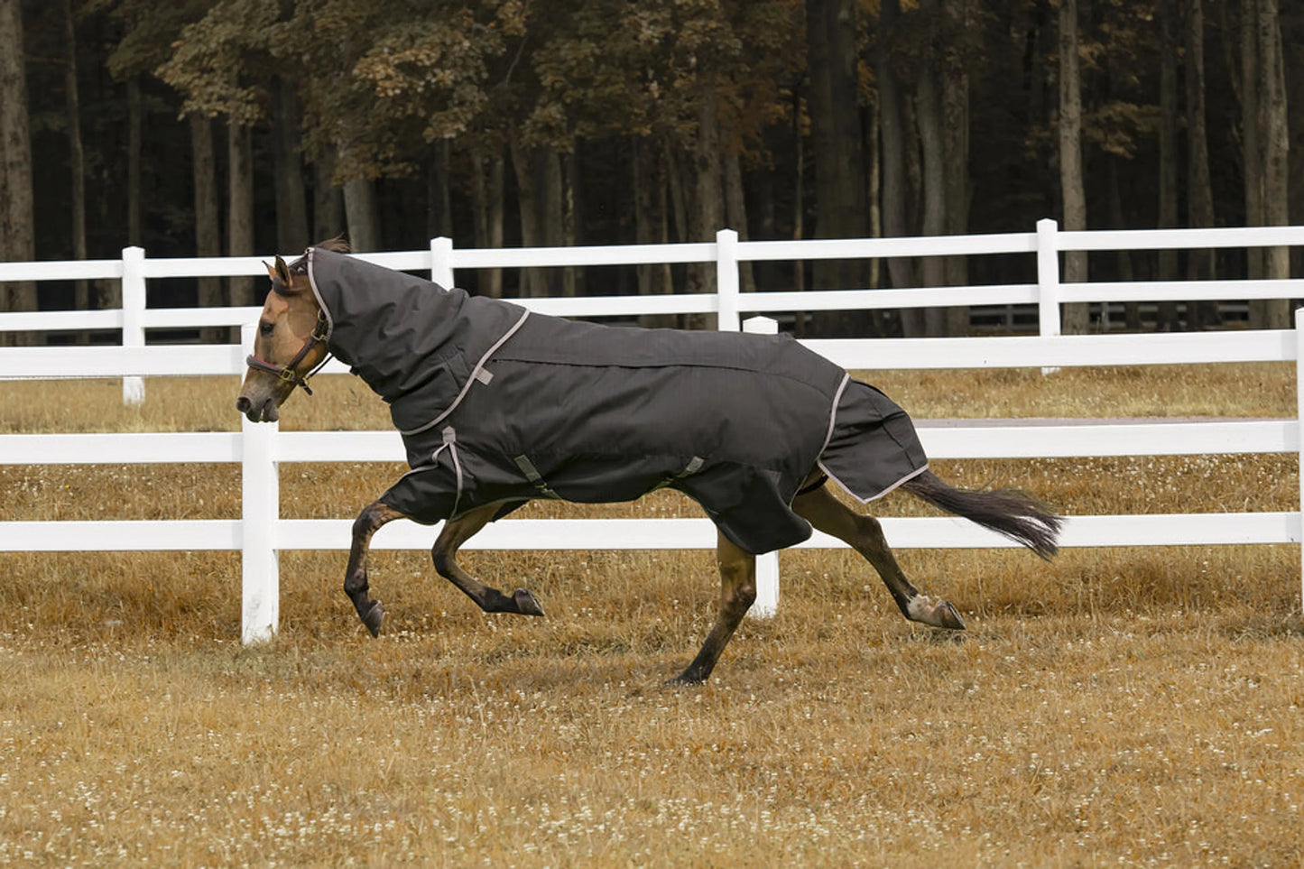 TuffRider 4-in-1 Waterproof All Season Blanket w/Inserts
