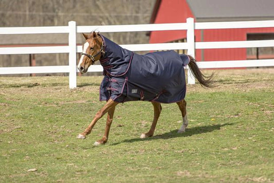 TuffRider 1200D 350g Comfy Detachable Neck - Heavy-Weight Blanket