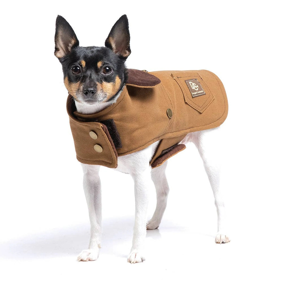 DCNY Canyon Working Dog Coat