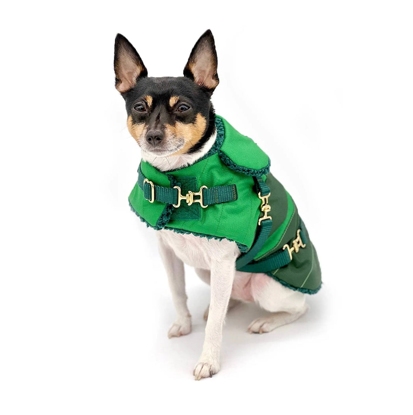 "Green with Envy" - DCNY Equestrian Collection Dog Coat
