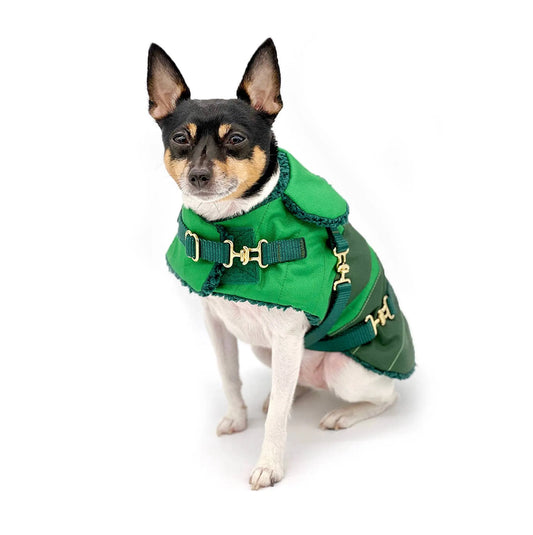 "Green with Envy" - DCNY Equestrian Collection Dog Coat