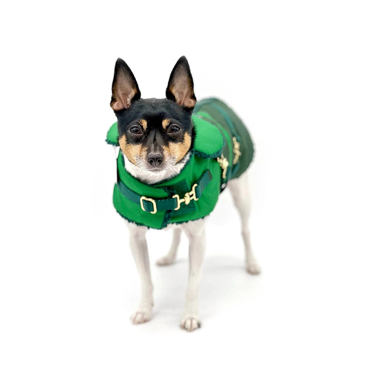 "Green with Envy" - DCNY Equestrian Collection Dog Coat