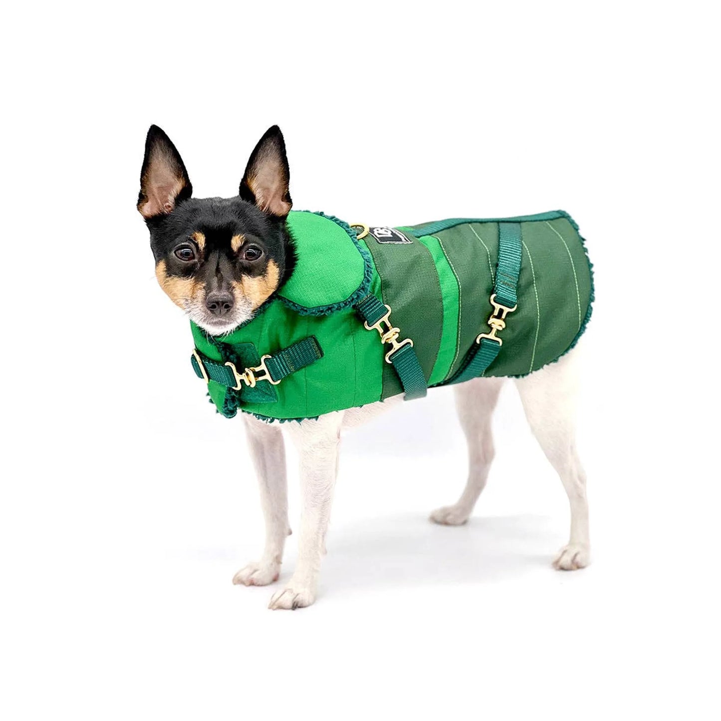 "Green with Envy" - DCNY Equestrian Collection Dog Coat