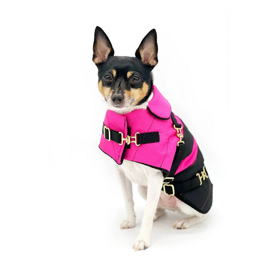 "Fun with Fuschia" - DCNY Equestrian Collection Dog Coat