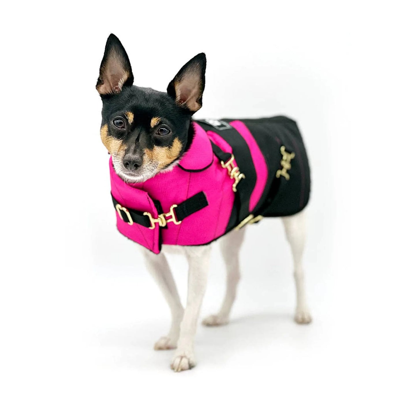 "Fun with Fuschia" - DCNY Equestrian Collection Dog Coat