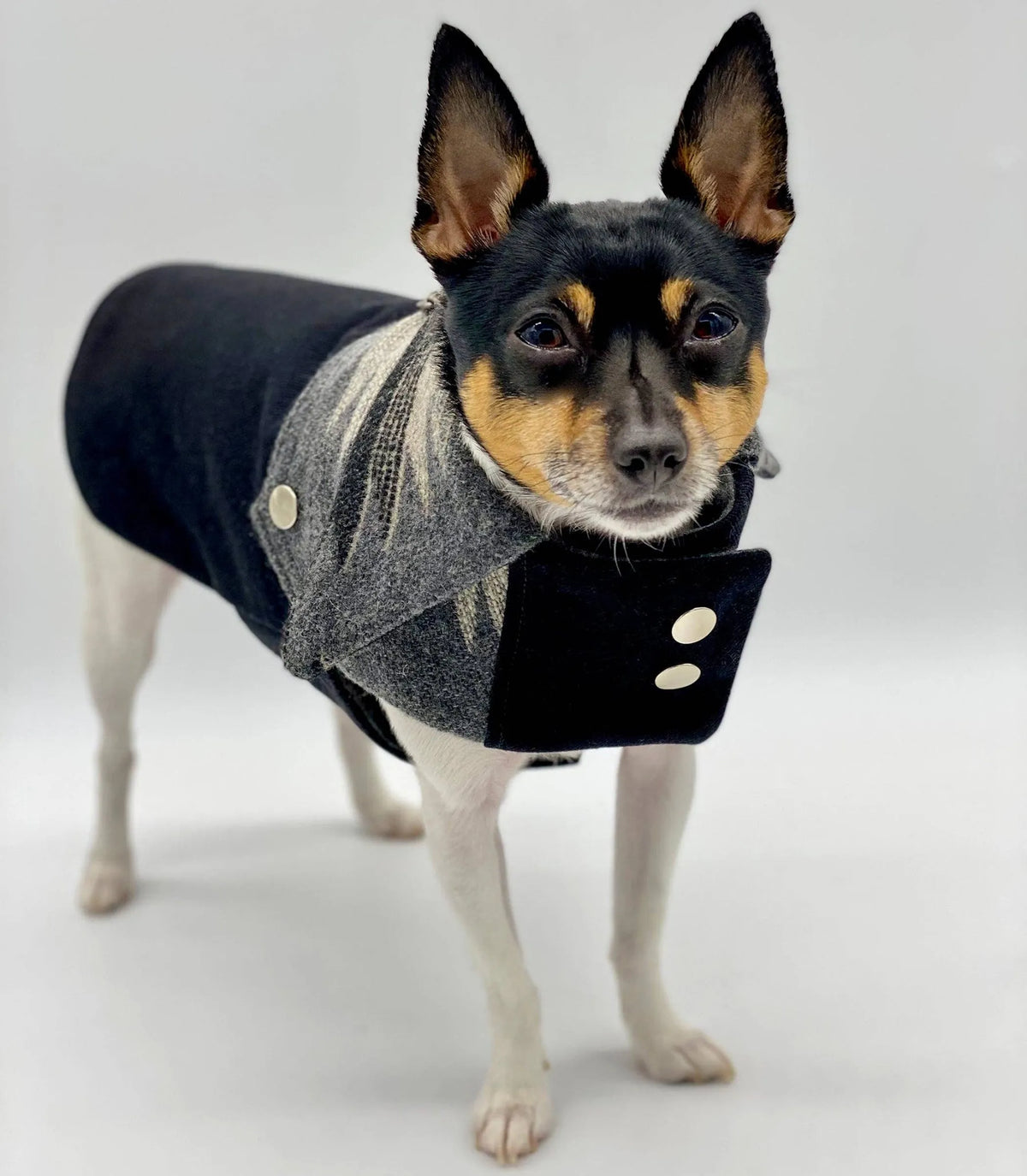 DCNY Ranch Dog Coat