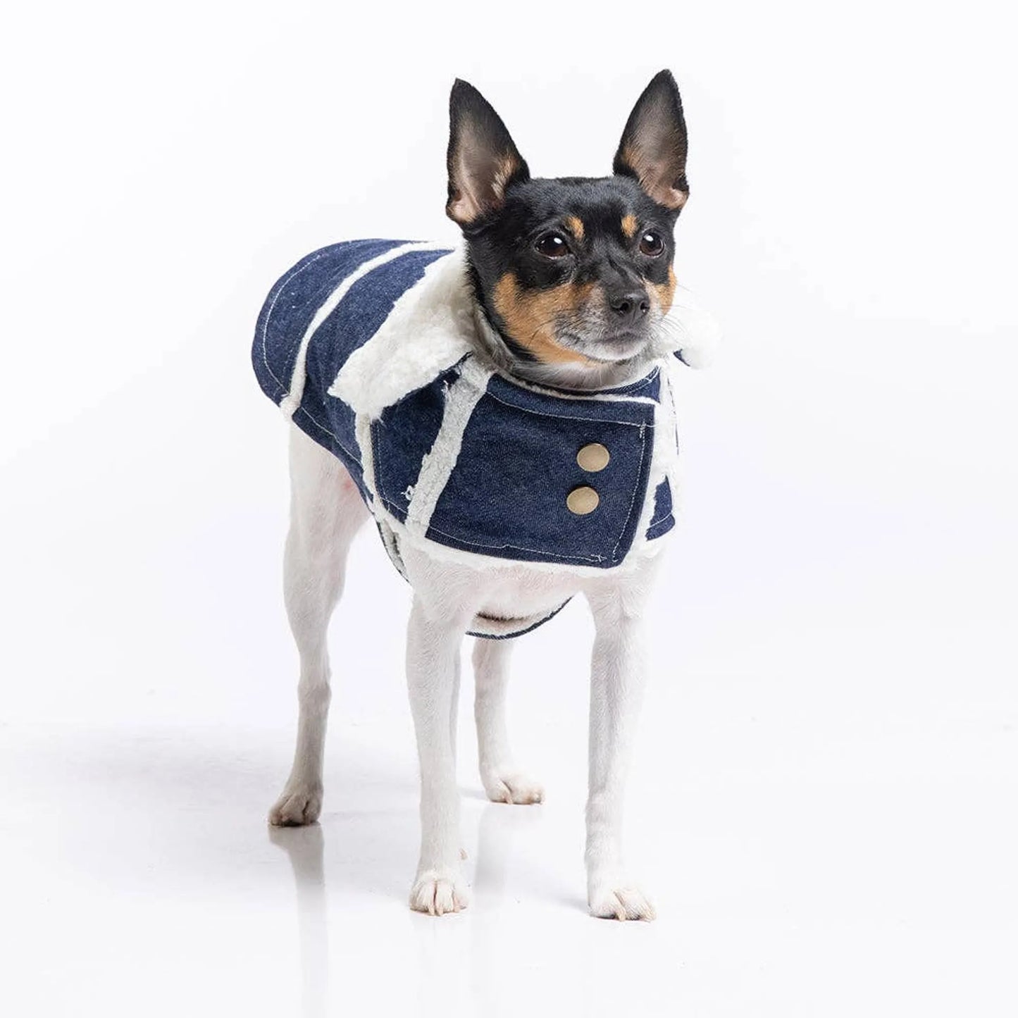 DCNY Ranch Dog Coat