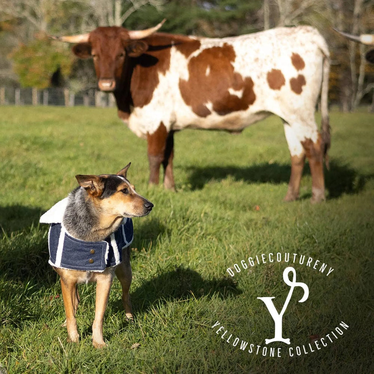 DCNY Ranch Dog Coat