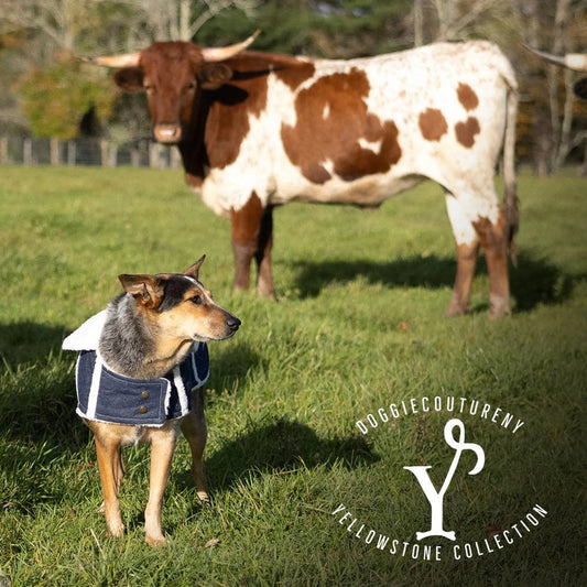 DCNY Ranch Dog Coat