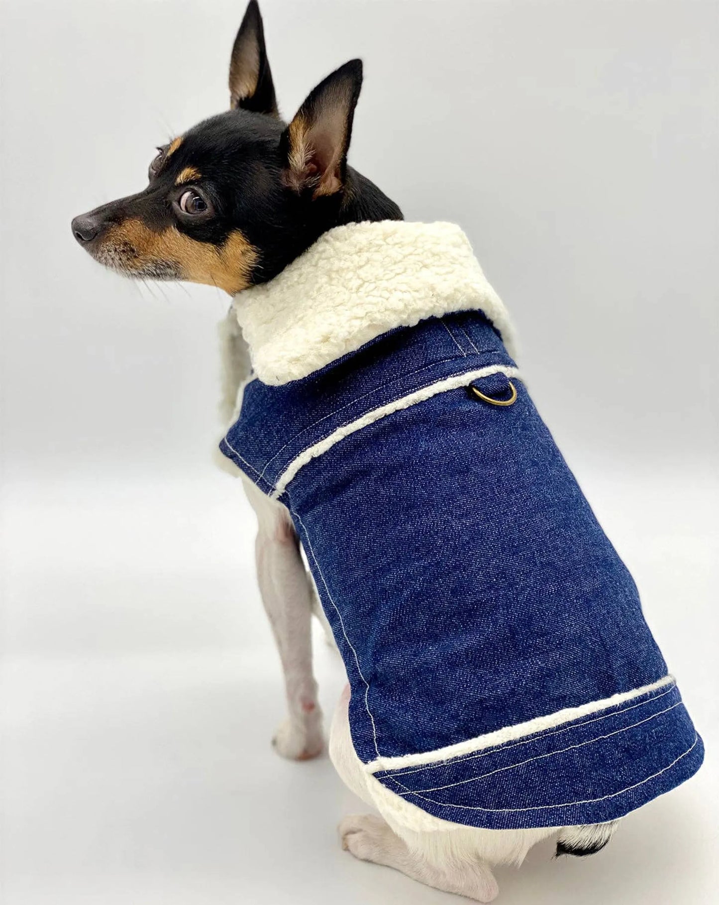 DCNY Ranch Dog Coat