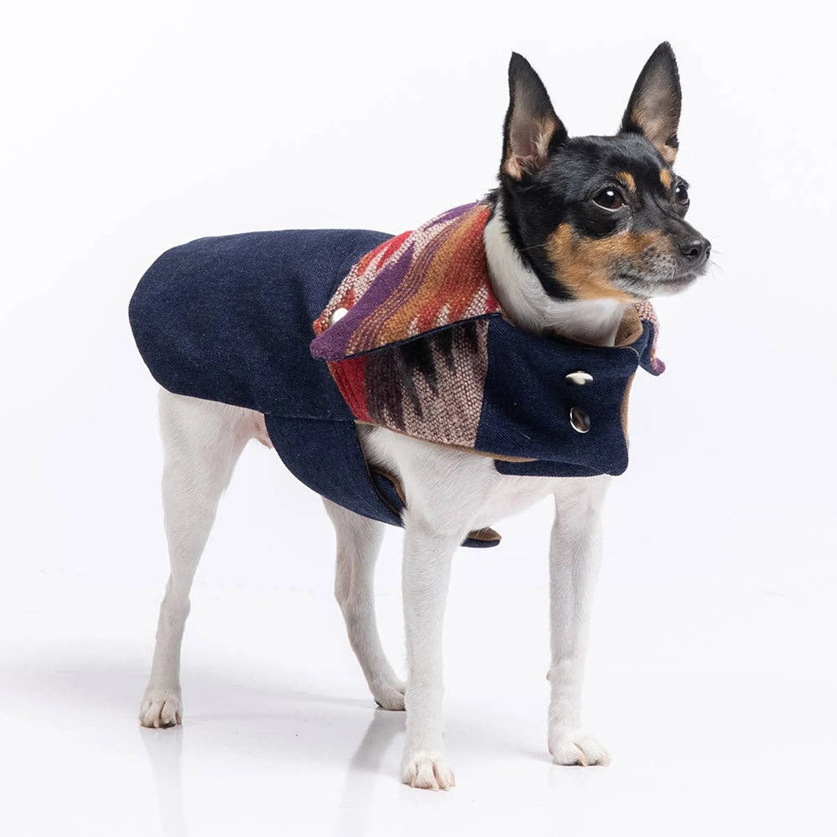 DCNY Ranch Dog Coat