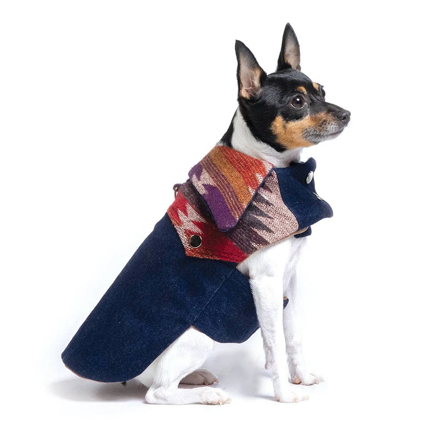 DCNY Ranch Dog Coat