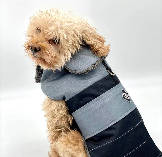 DCNY Dog Fleece Raincoat